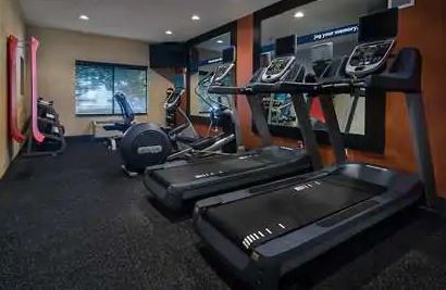 Hampton Collins Hotel 3*